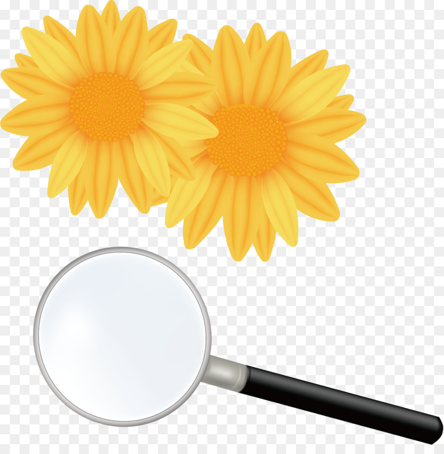 Flor，Royaltyfree PNG