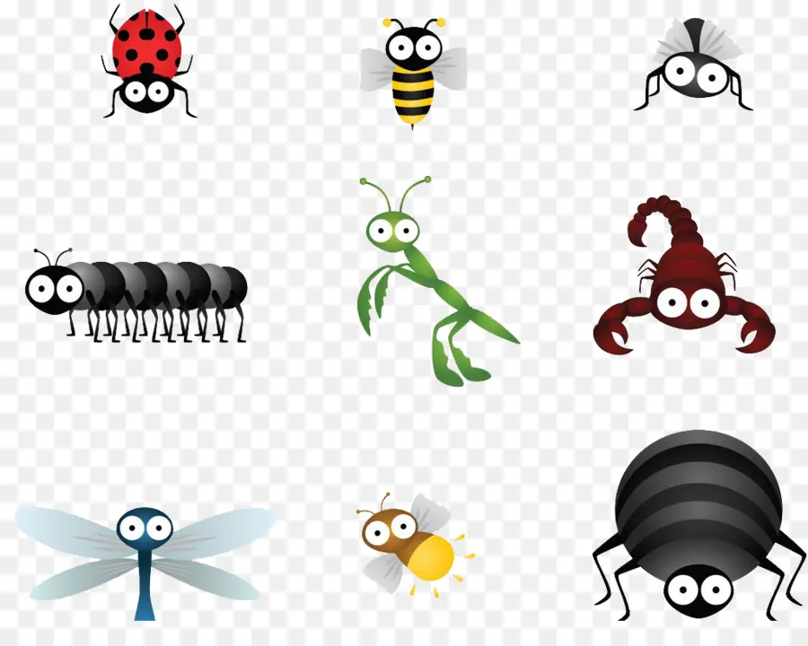 Los Insectos，De Dibujos Animados PNG