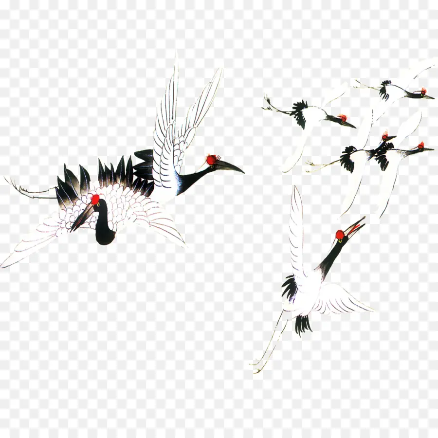 Grullas Voladoras，Grúas PNG