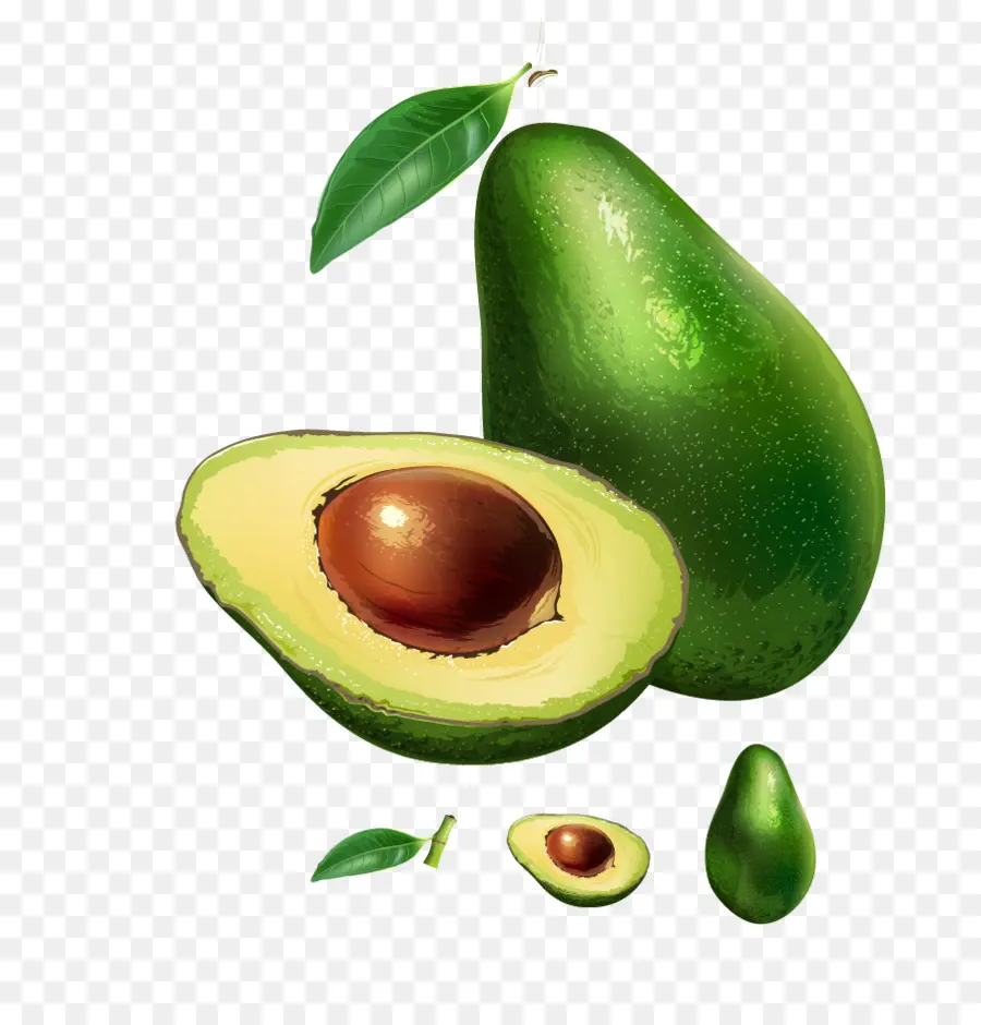 Aguacate Hass，Cocina Vegetariana PNG