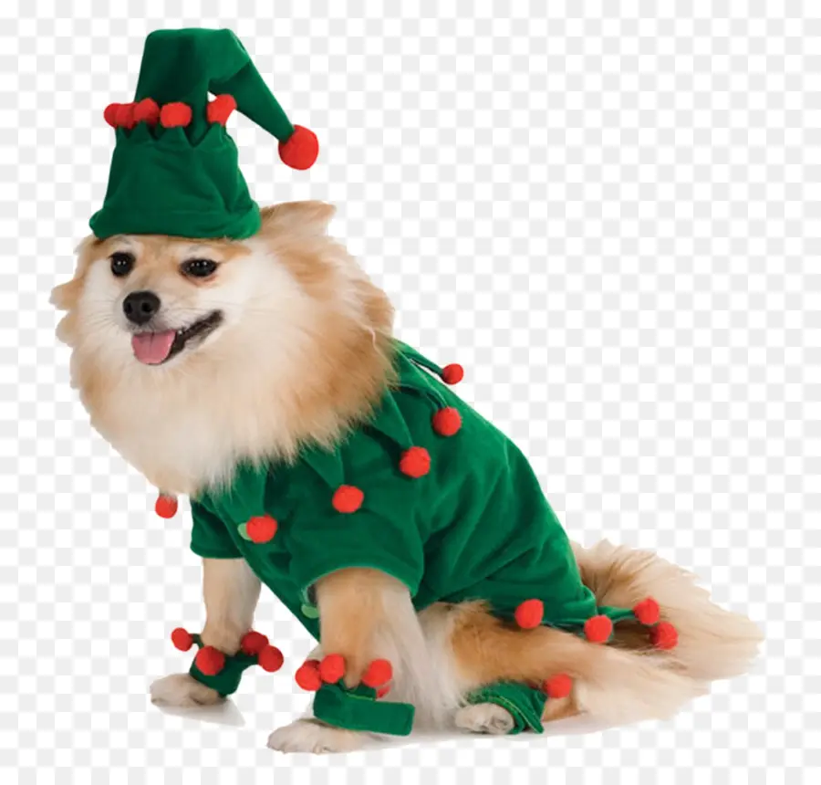 Perro，Santa Claus PNG