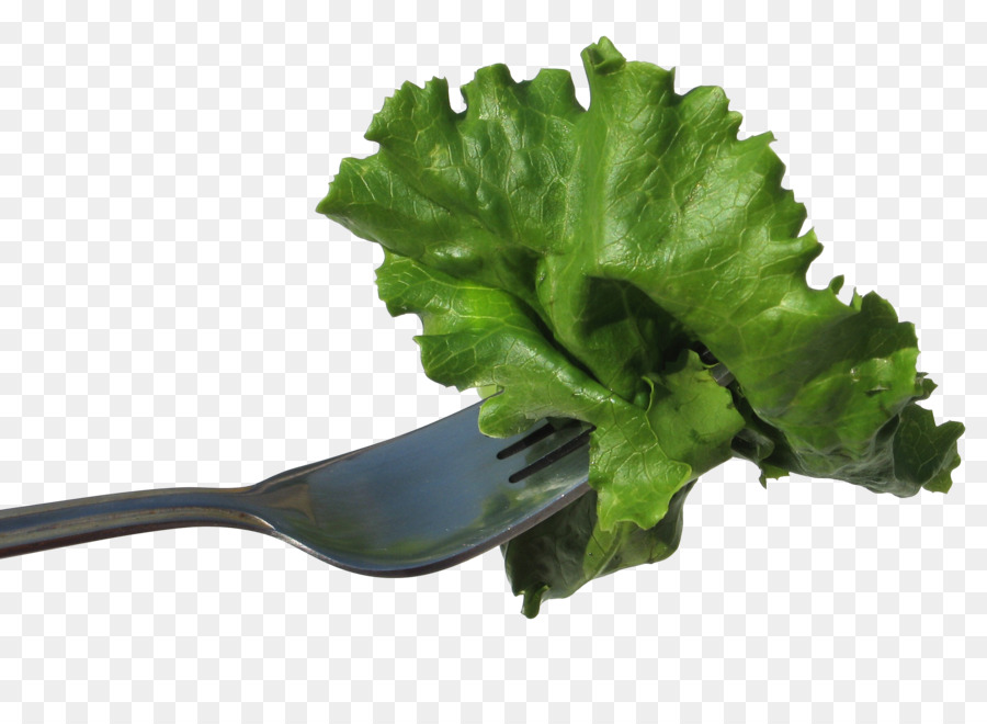 Lechuga，Vegetal PNG