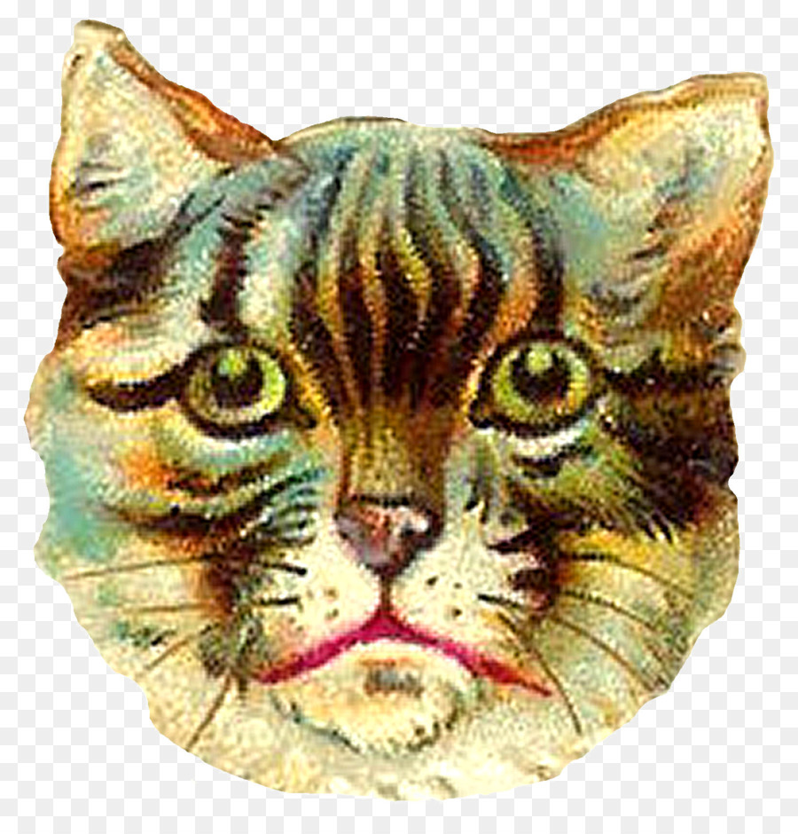 Gato，Rostro PNG