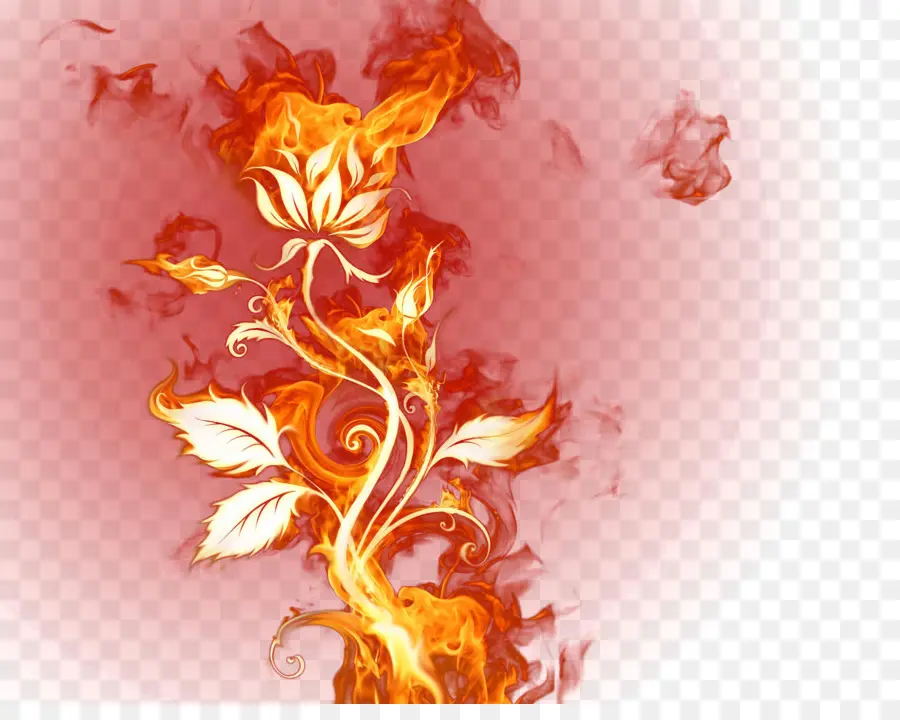 Flor De Fuego，Llama PNG