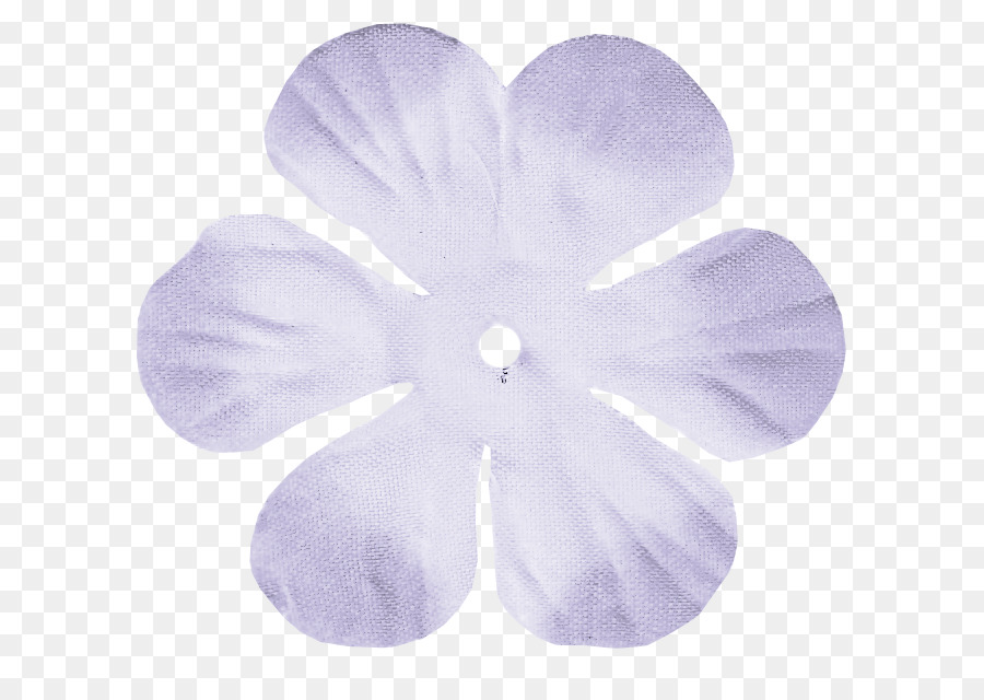 Pétalo，Flor PNG