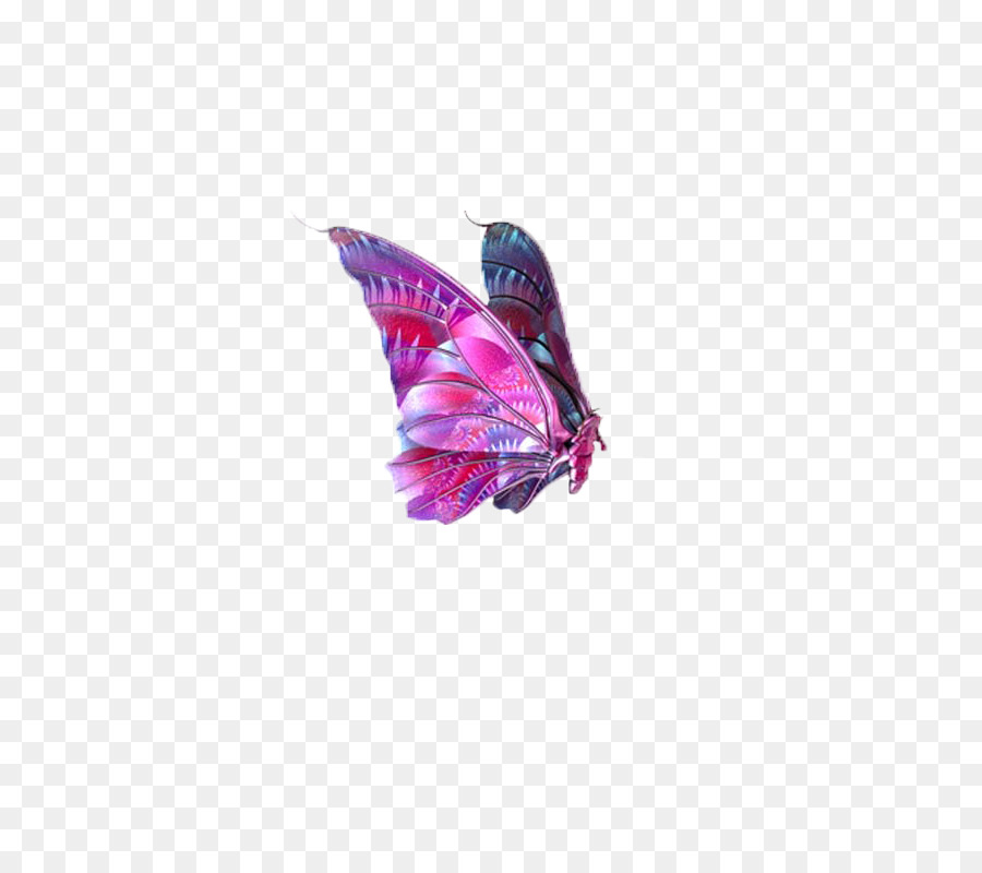 Mariposa，Alas PNG