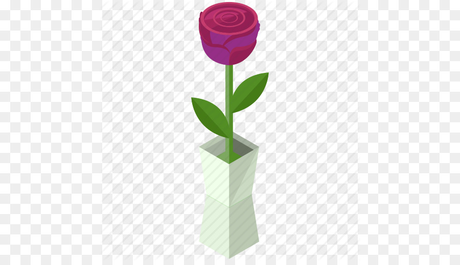 Rosa Morada，Florero PNG