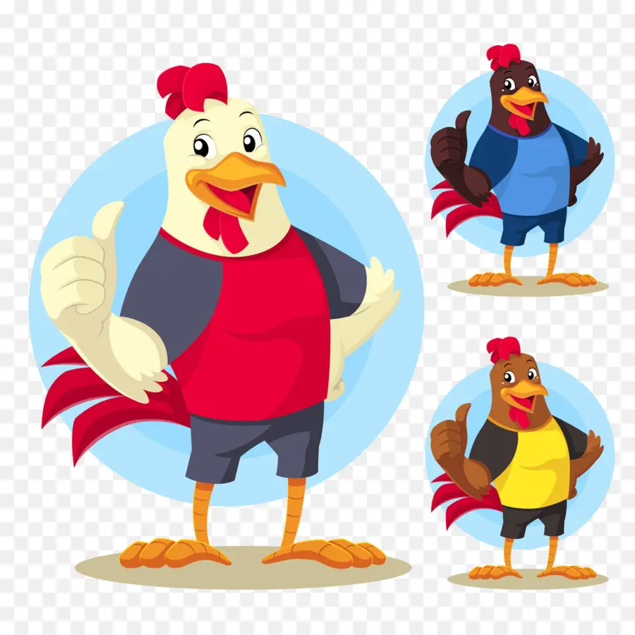 Pollo，Gallo PNG