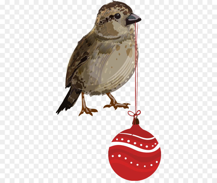 Pájaro Con Adorno，Navidad PNG