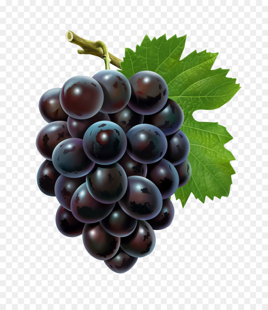 Uvas Moradas，Enredadera PNG