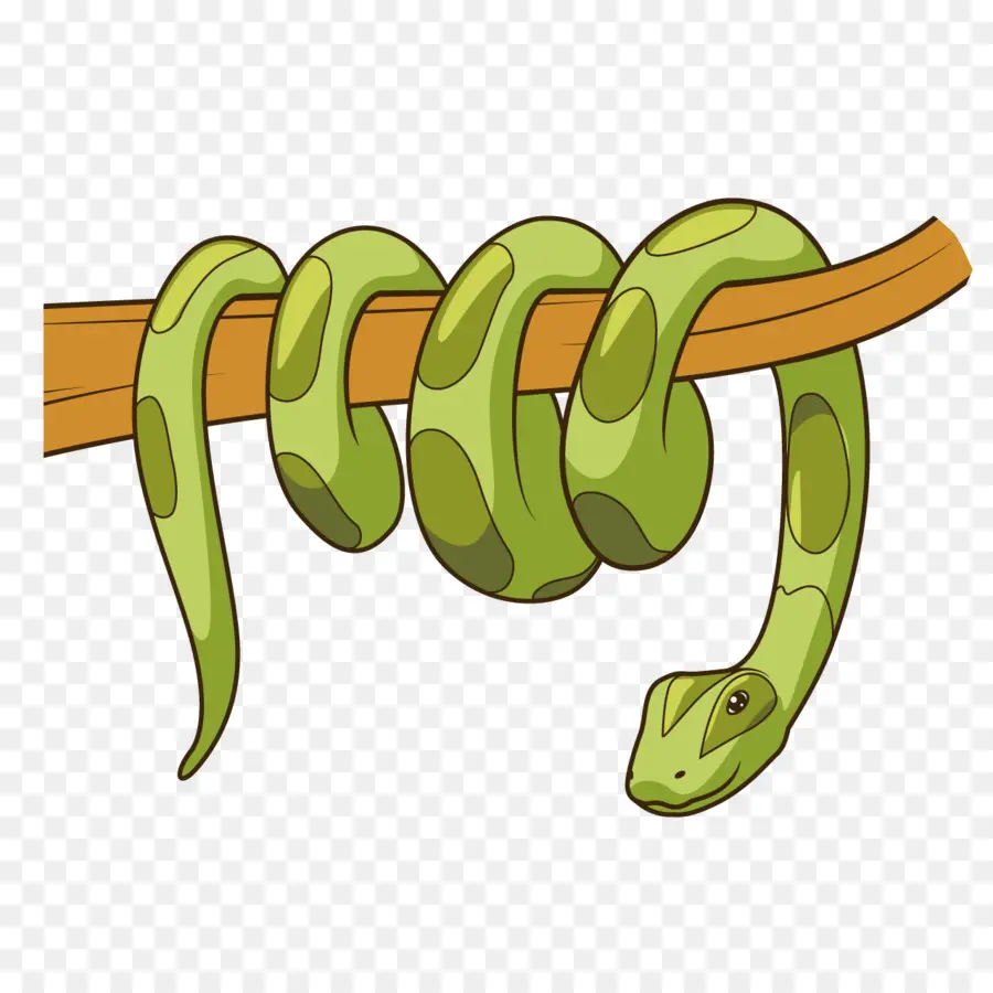 Serpiente，Rama PNG