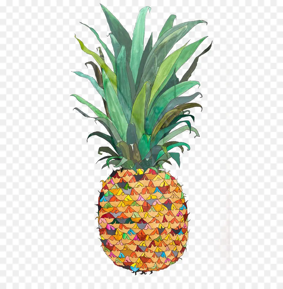 Piña，Dibujo PNG