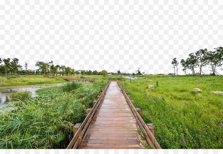 Galería De Carretera，Pasarela PNG