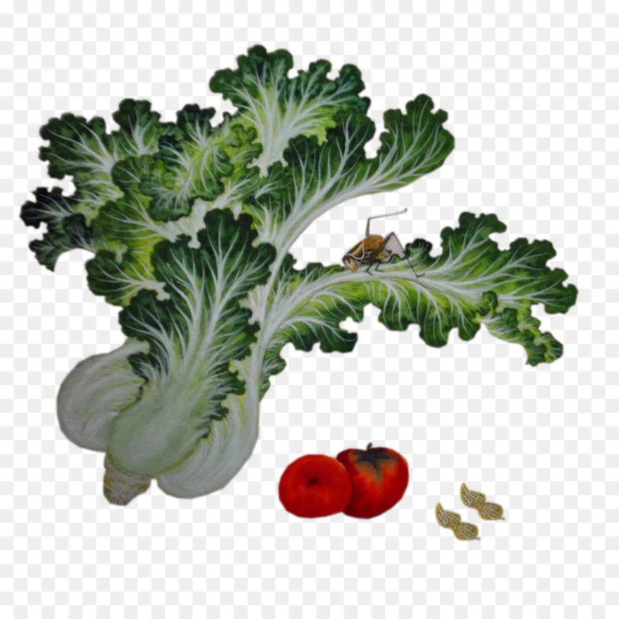 De Verduras De Primavera，Col PNG