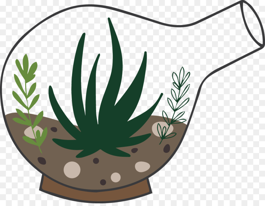 Planta，Vidrio PNG