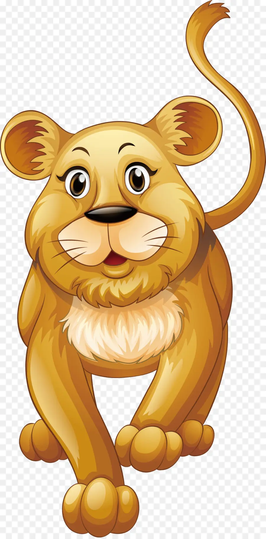 León，Felidae PNG