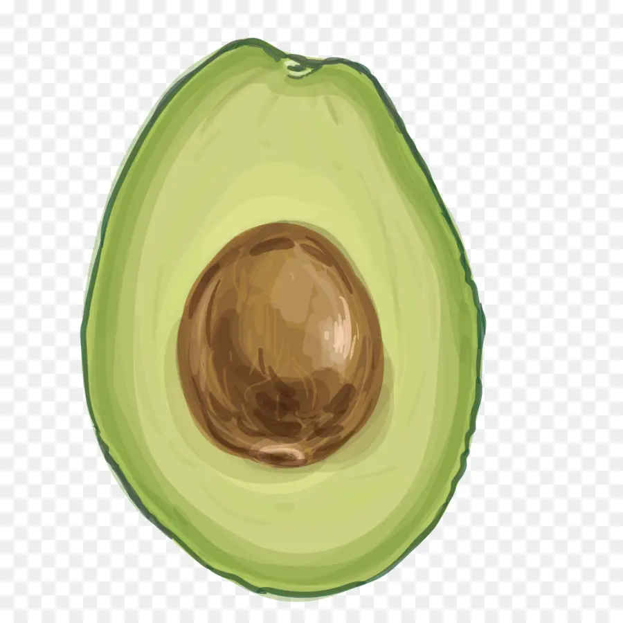 Palta，Medio PNG