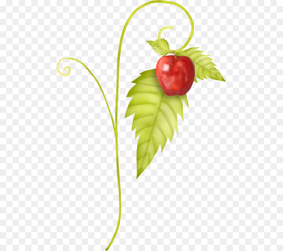 Fresa，Apple PNG