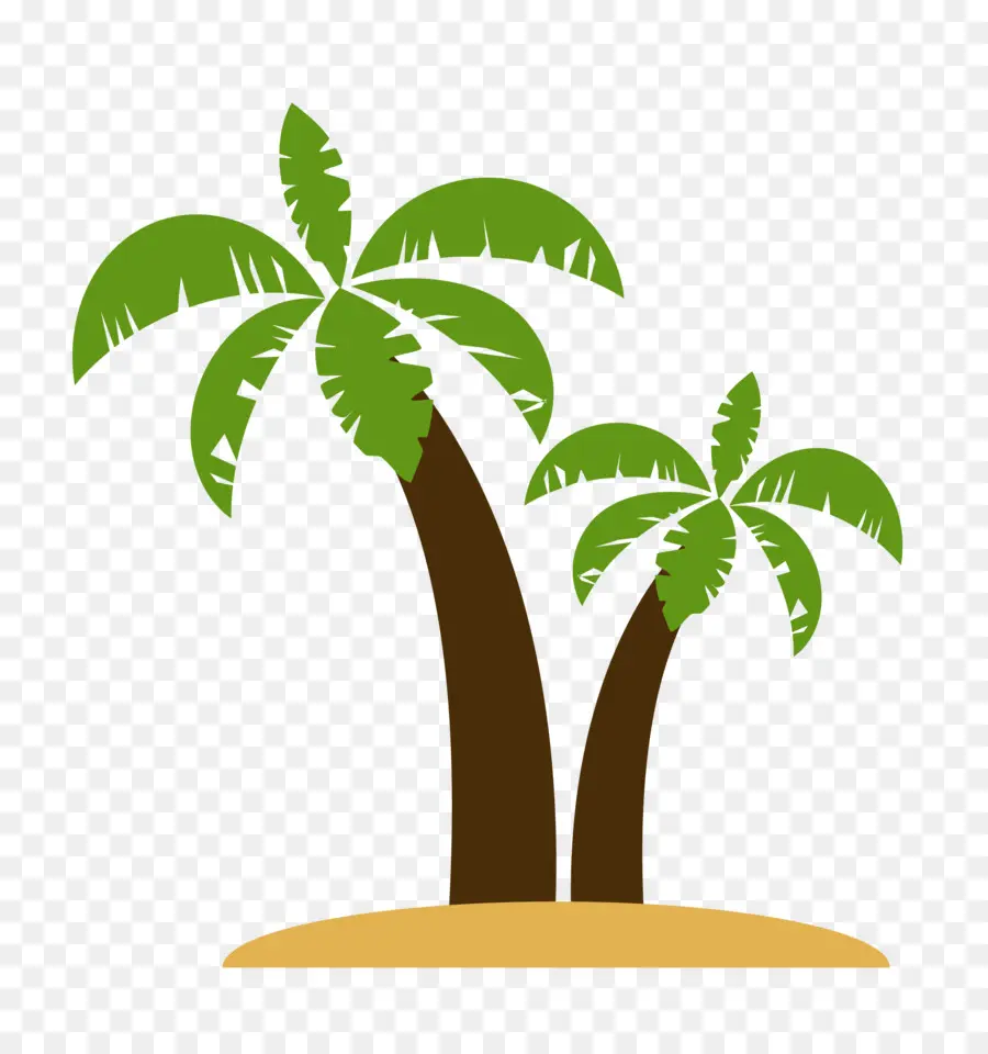 Palmera，Playa PNG