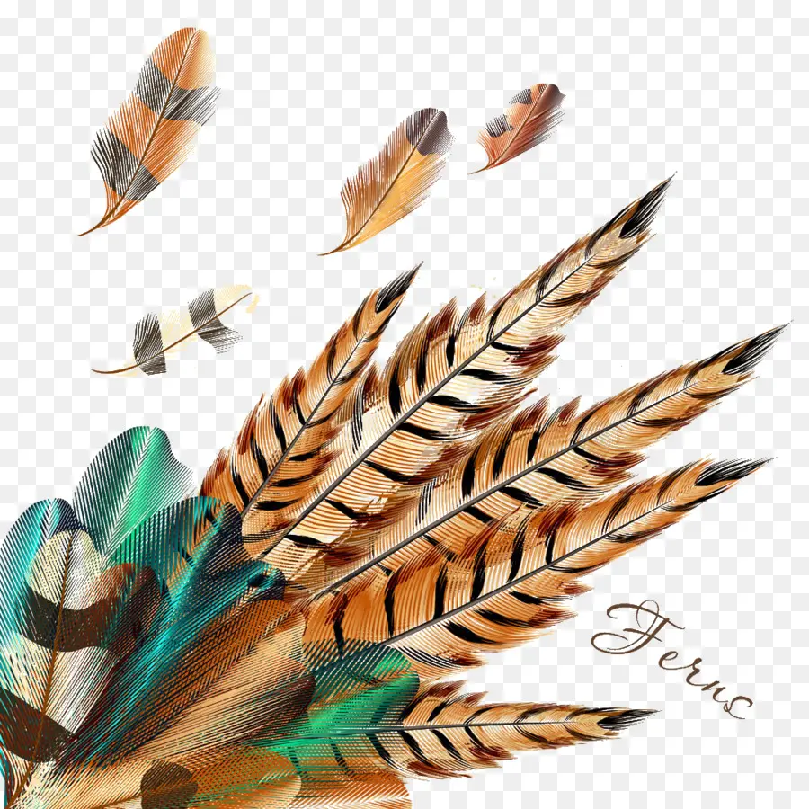 Pluma，Almohada PNG