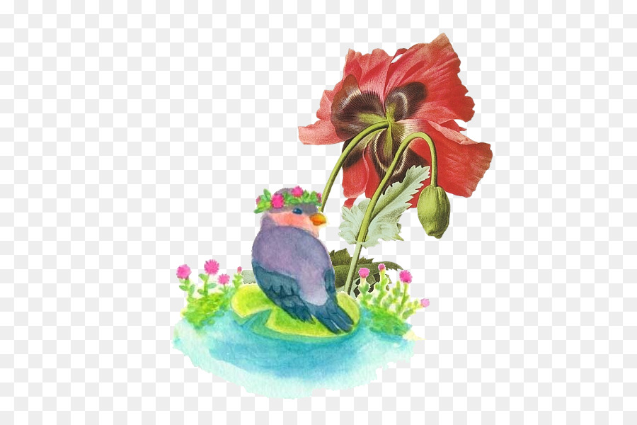 Pájaro Y Flor，Estanque PNG