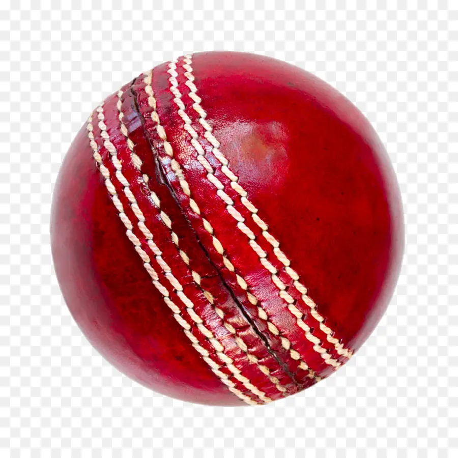 Pelota De Cricket，Cricket PNG