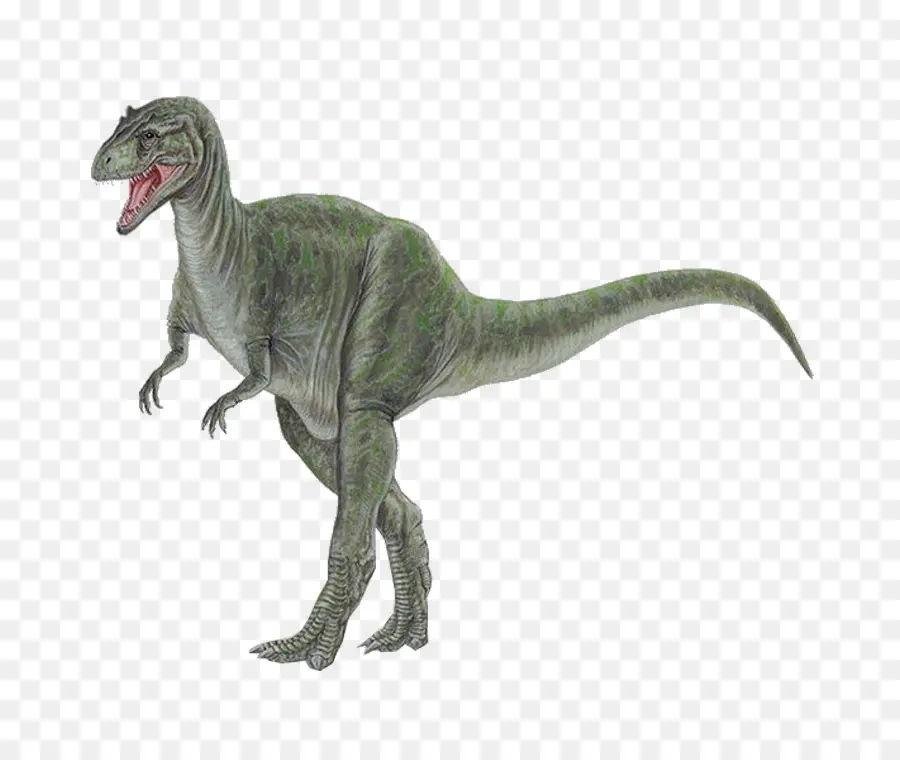 Tyrannosaurus，Allosaurus PNG