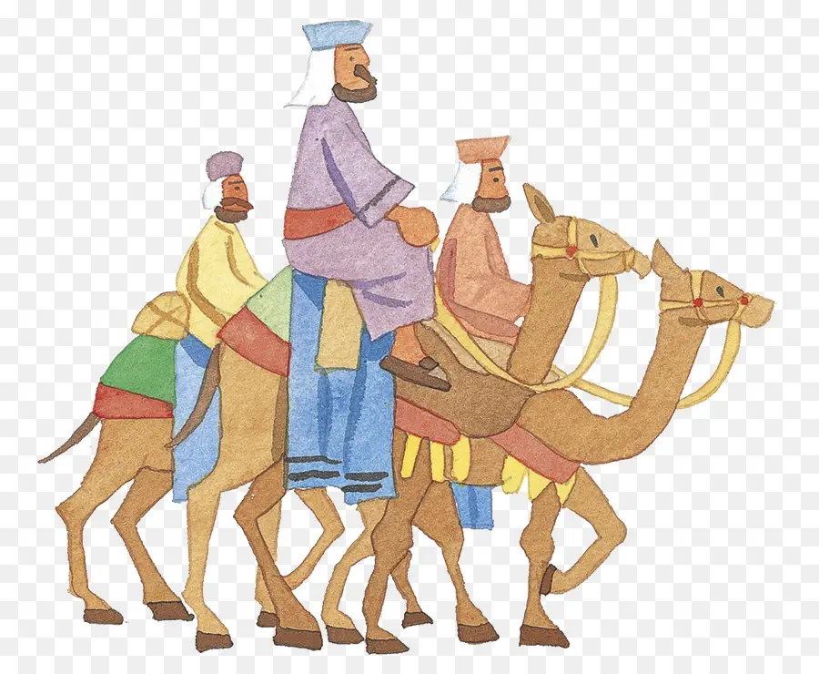 Camellos，Jinetes PNG