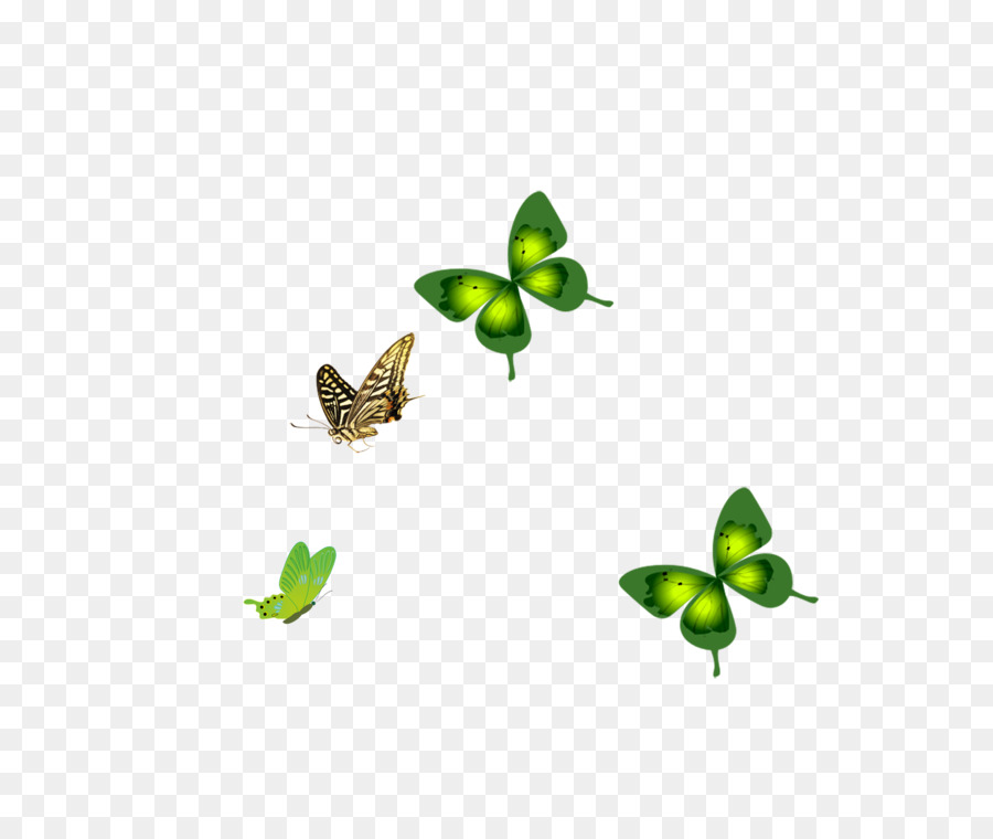 Mariposas，Vuelo PNG