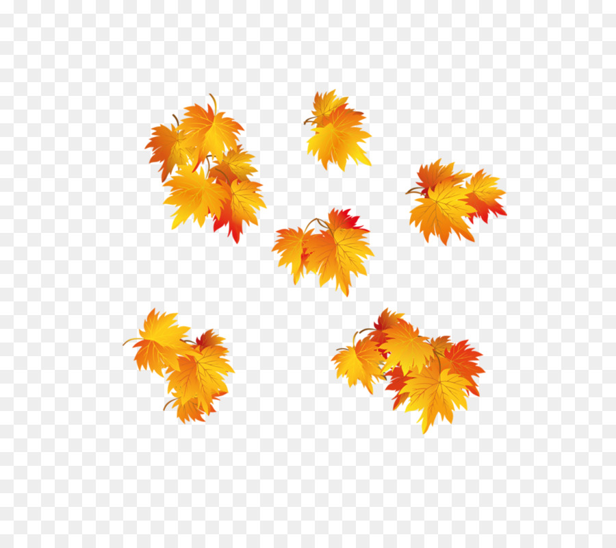 Otoño，Hoja PNG