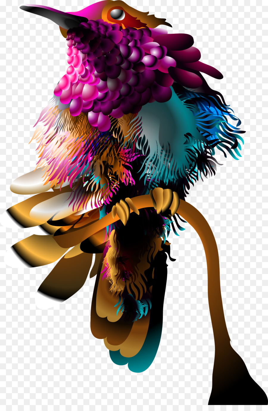 Pájaro Colorido，Plumas PNG