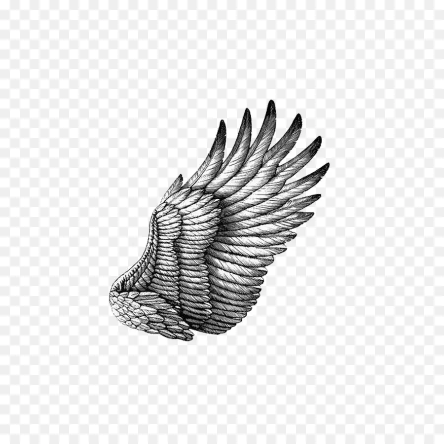 Ala，Plumas PNG