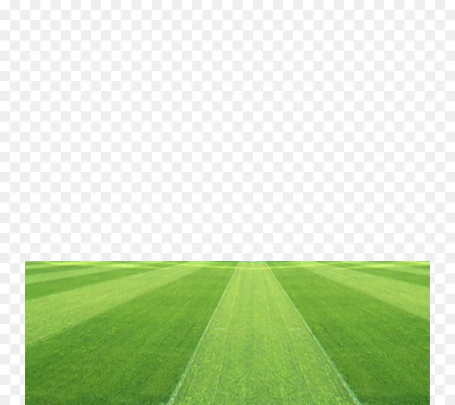 Campo De Fútbol，Fútbol PNG