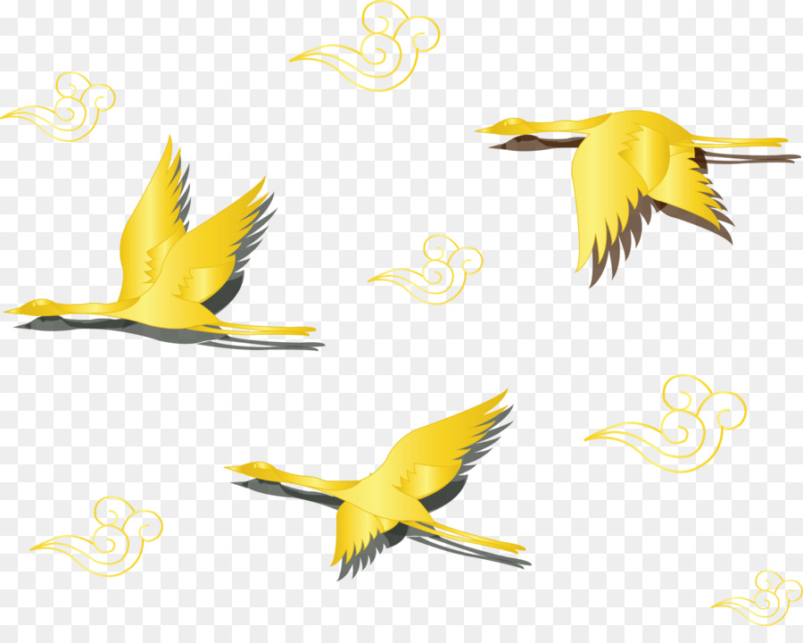 Pájaros Dorados，Vuelo PNG