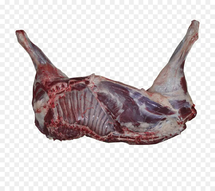 Carne，Crudo PNG