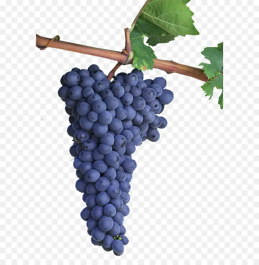 Friuli，Vino Tinto PNG