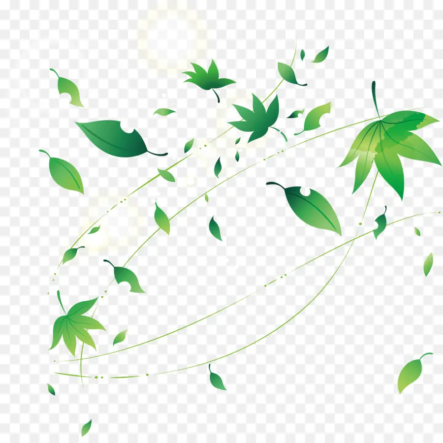 Hoja，Adobe Illustrator PNG