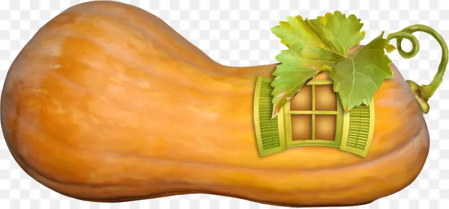 Calabaza，Cucurbita Maxima PNG