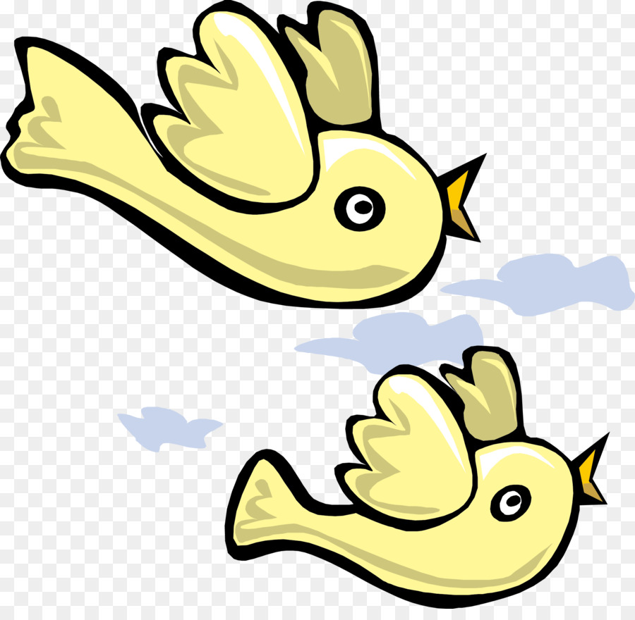 Aves，Vuelo PNG