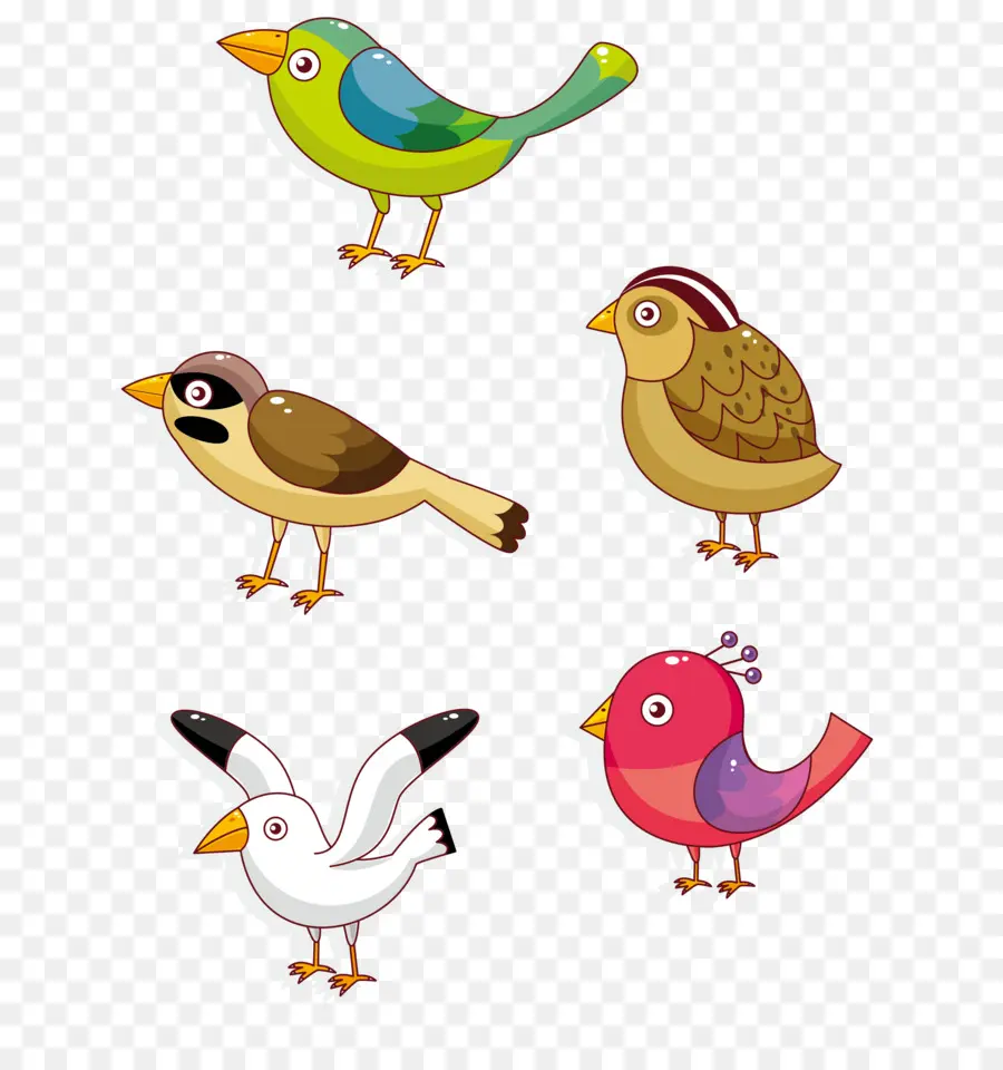 Aves，Vistoso PNG