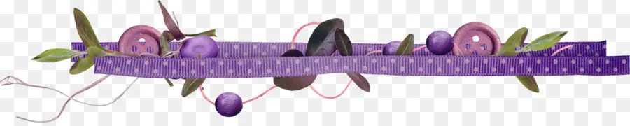 Cinta Morada，Decorativo PNG