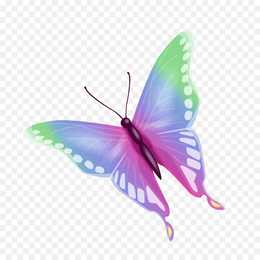 Mariposa，Púrpura PNG