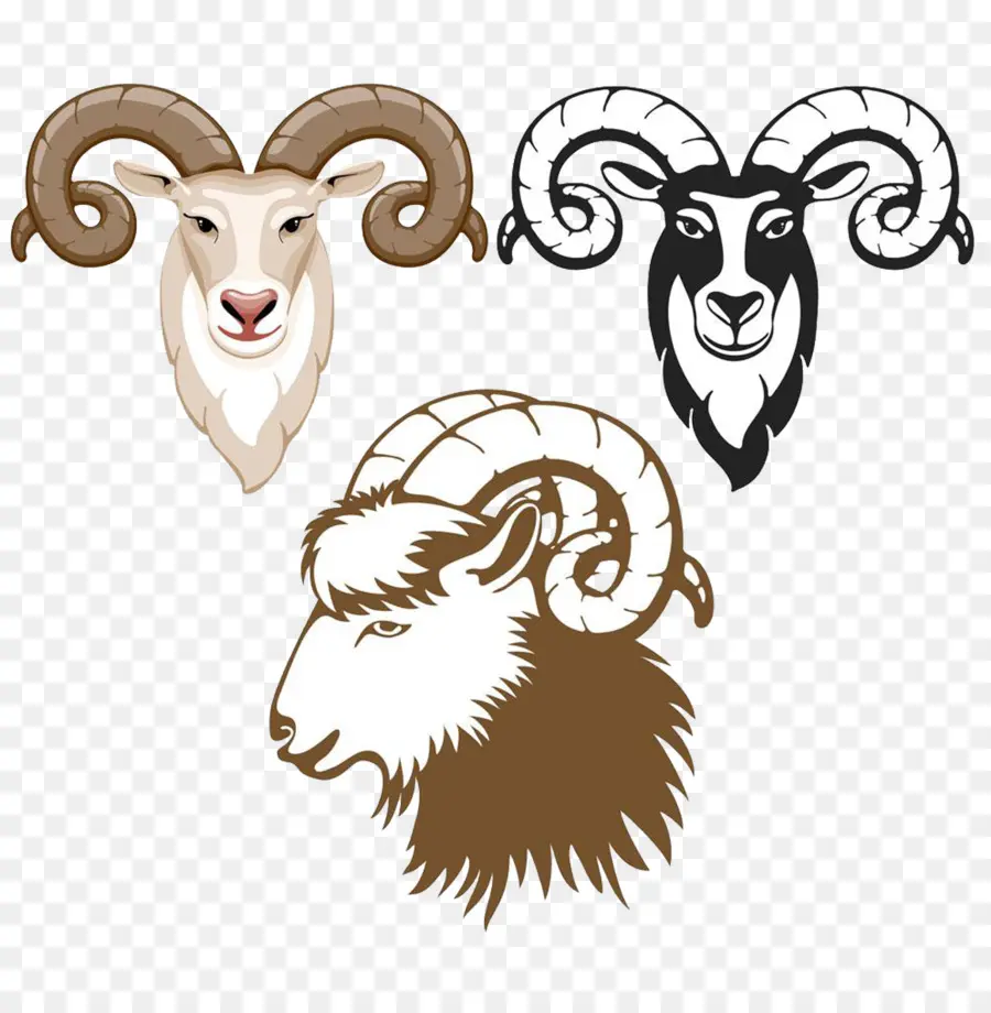 Ram，Cuerna PNG