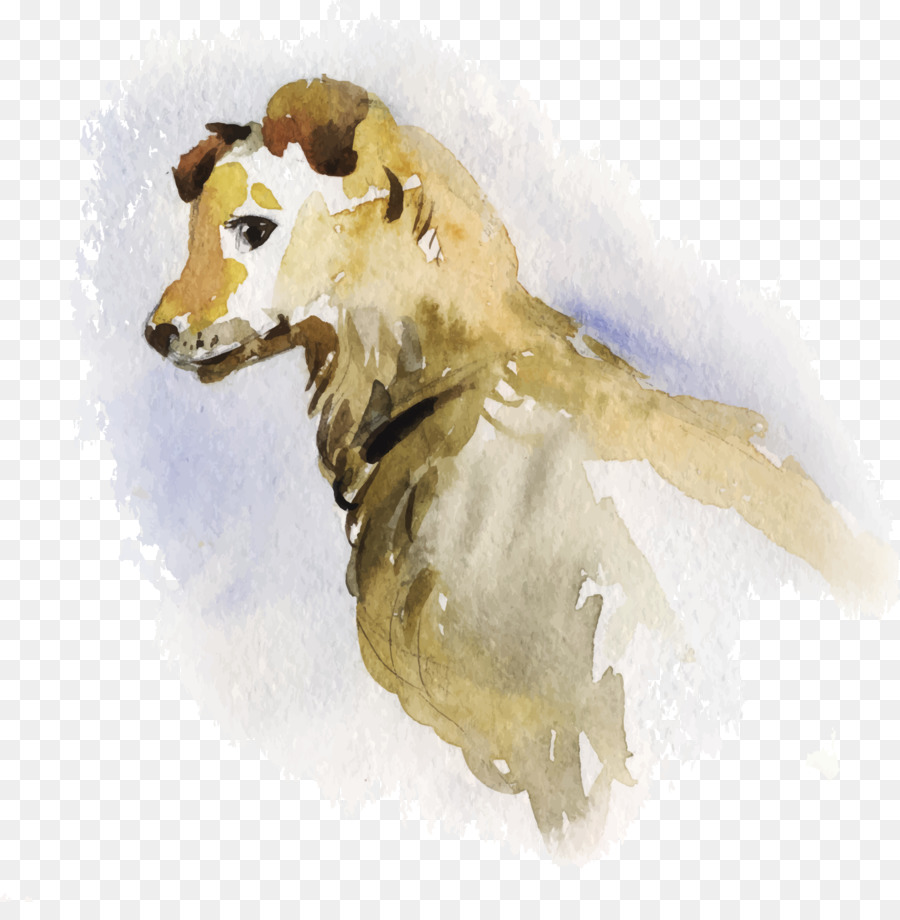 Perro，Acuarela PNG