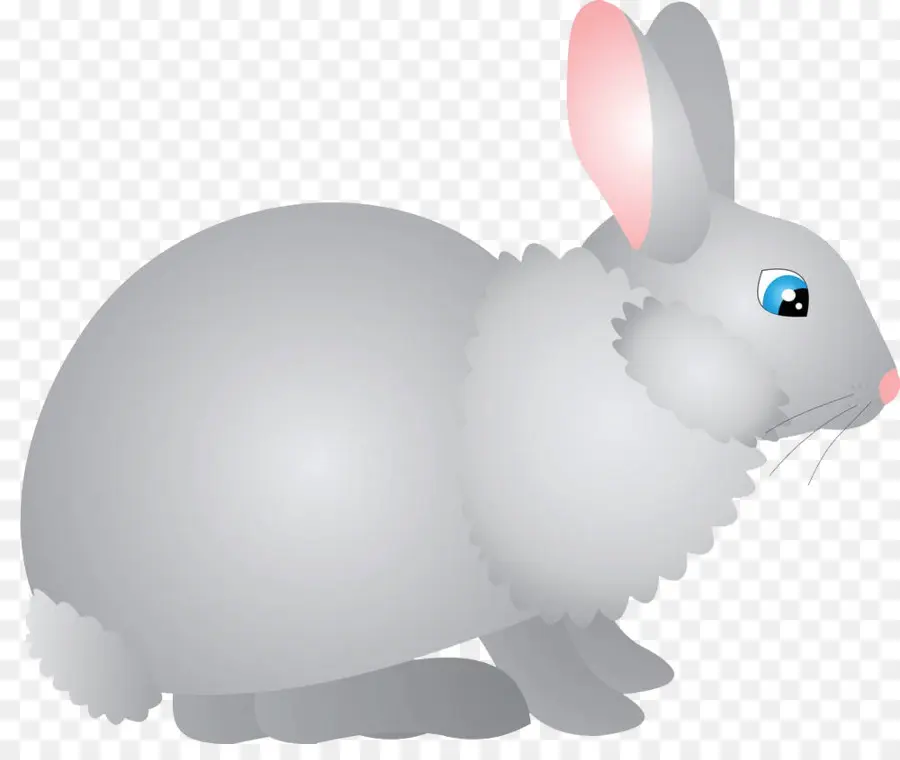 Nacionales De Conejo，Conejito De Pascua PNG