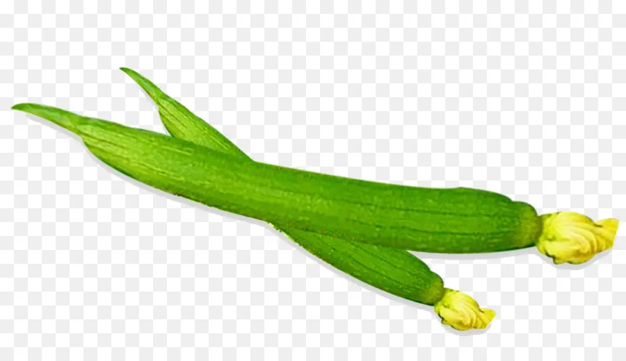 Okra，Verde PNG