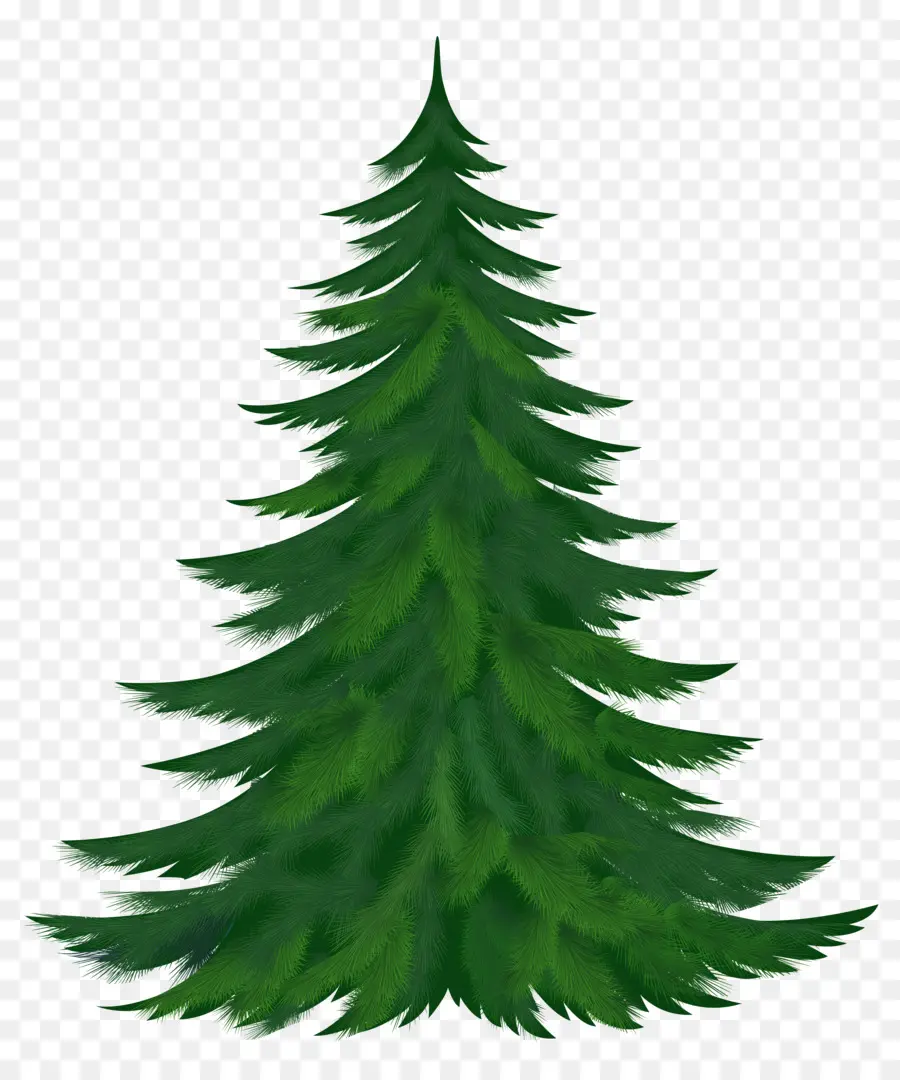 Pino，árbol PNG