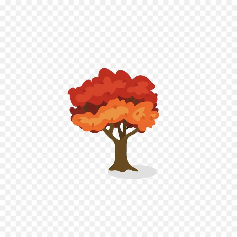 árbol，Espathodea PNG