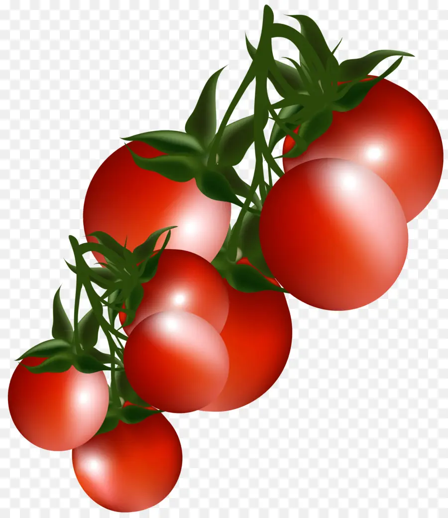 Tomate Cherry，Tomate Roma PNG