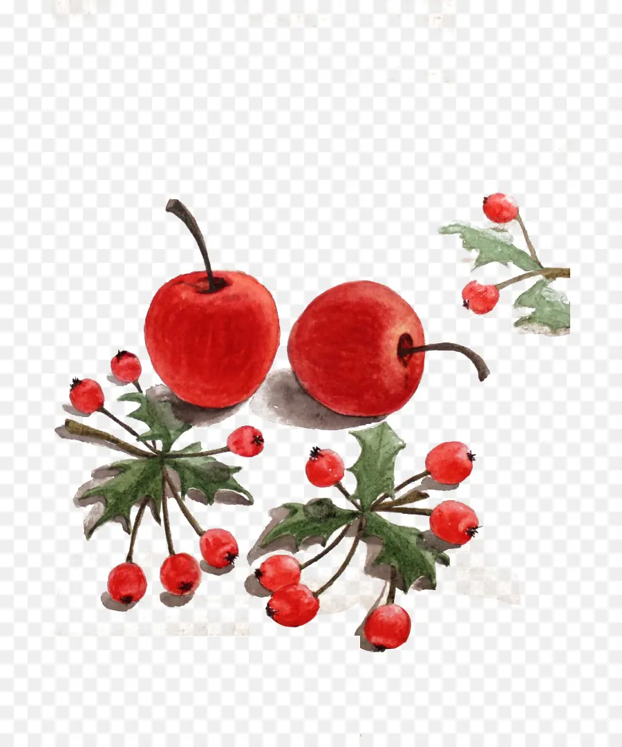 Manzanas Rojas，Hojas PNG